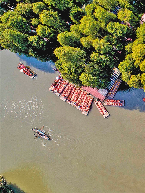 10月4日，江苏省兴化市游客在“水上森林”乘船观光游。国庆假期，当地“水上森林”等特色景点吸引众多游客。