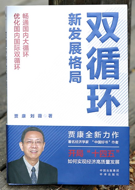 31.《双循环新发展格局》.png